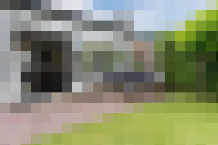 Stationsweg 18 Wapenveld thumbnail 49