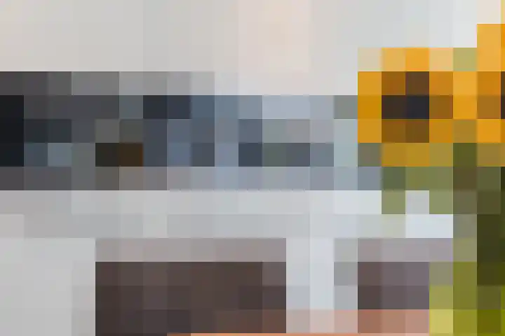 Stationsweg 18 Wapenveld thumbnail 5
