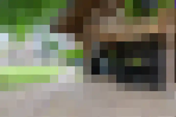 Stationsweg 18 Wapenveld thumbnail 51