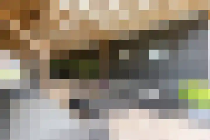 Stationsweg 18 Wapenveld thumbnail 52