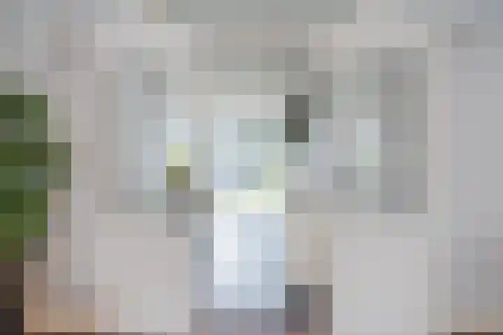 Stationsweg 18 Wapenveld thumbnail 7
