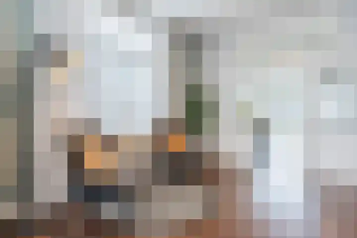 Stationsweg 18 Wapenveld thumbnail 8