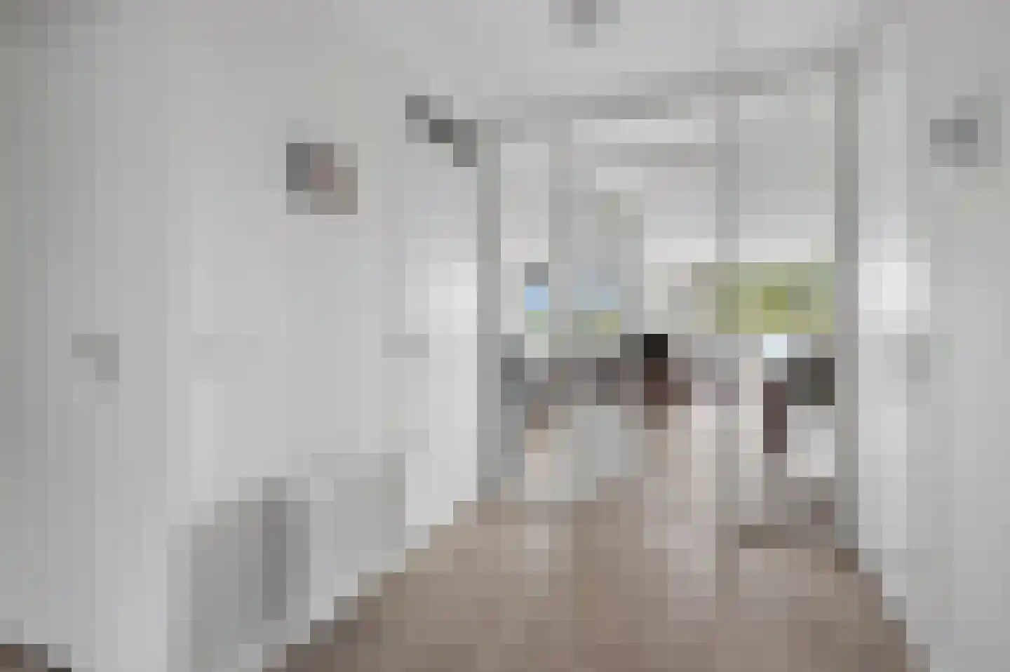 Stationsweg 182 Ede thumbnail 22