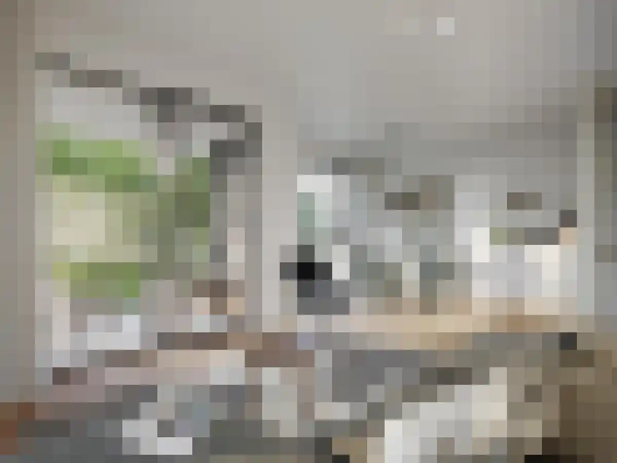 Stationsweg 19 052 Eindhoven thumbnail 4