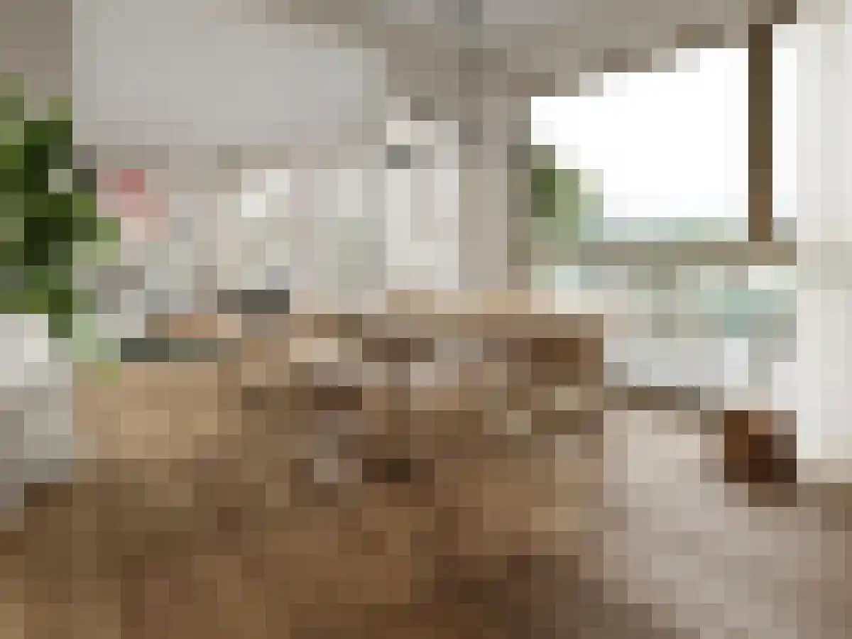 Stationsweg 19 052 Eindhoven thumbnail 6