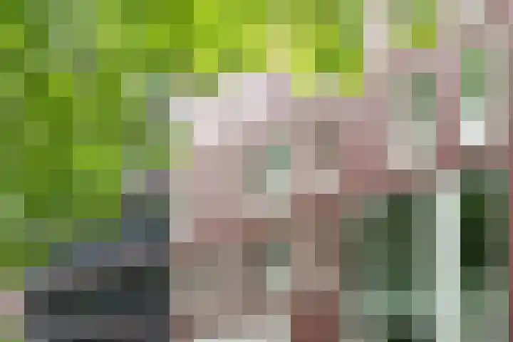 Stationsweg 19 Breda thumbnail 39