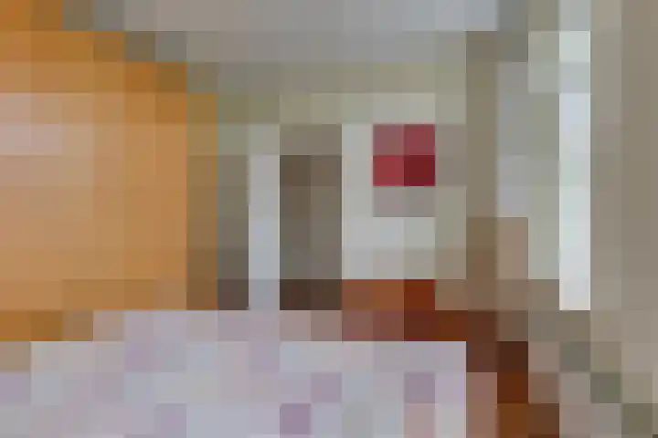 Stationsweg 2 Aalten thumbnail 20