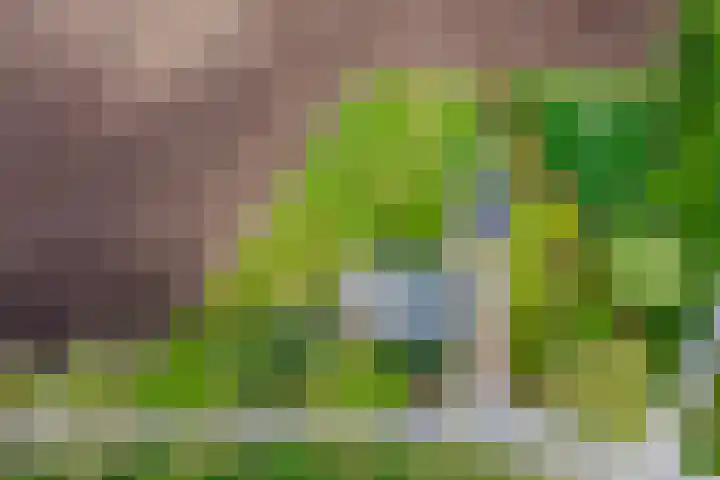 Stationsweg 2 Aalten thumbnail 43
