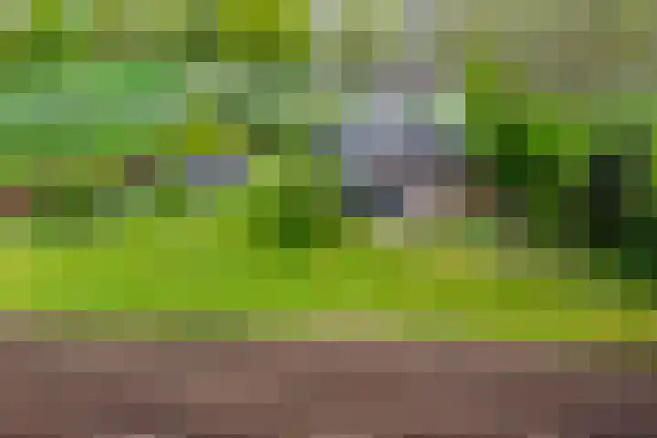 Stationsweg 2 Aalten thumbnail 44