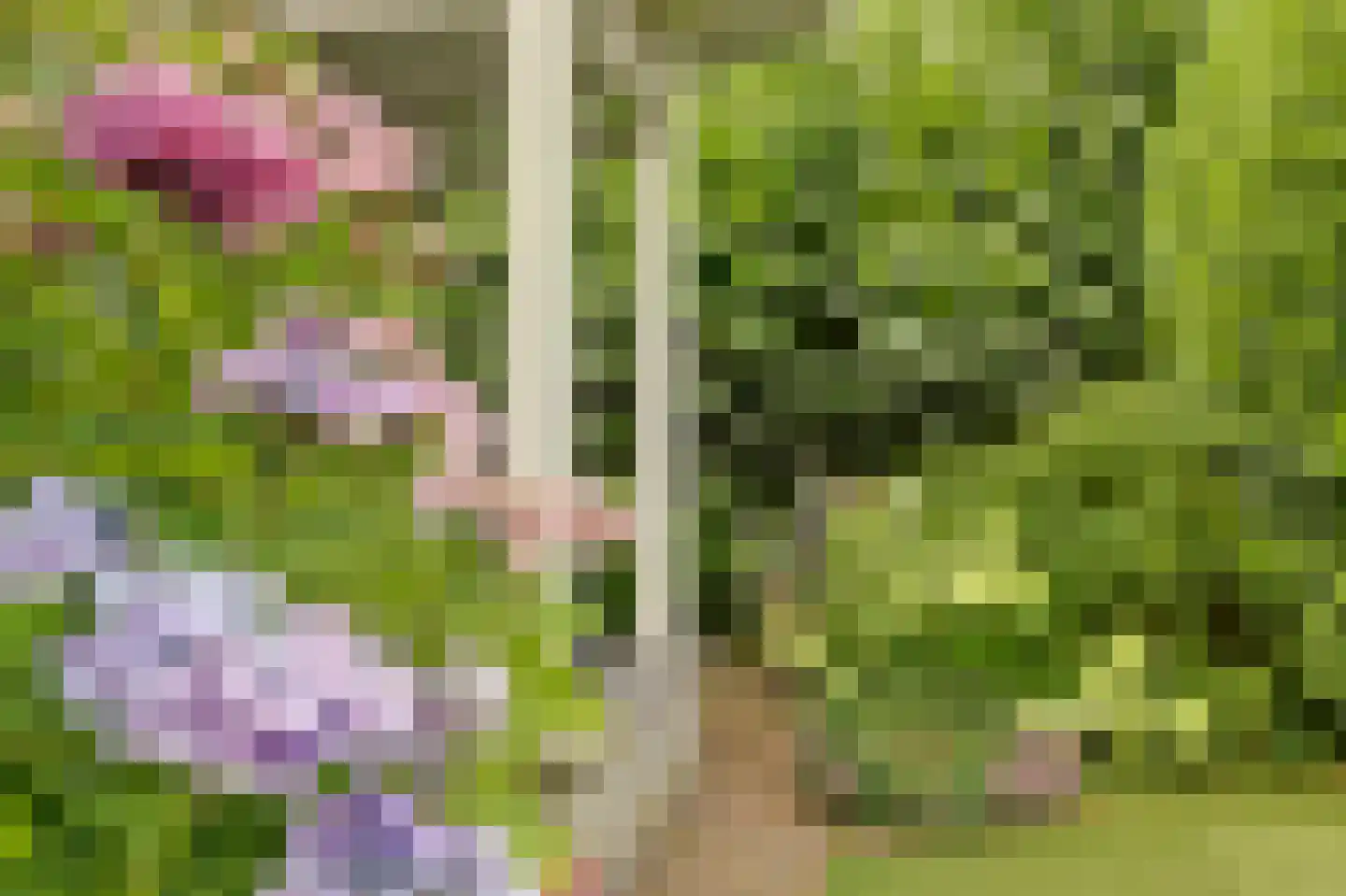 Stationsweg 2 Drimmelen thumbnail 73