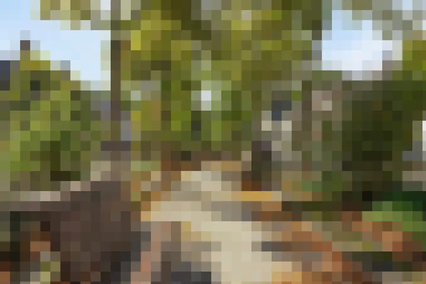 Stationsweg 2 Drimmelen thumbnail 94