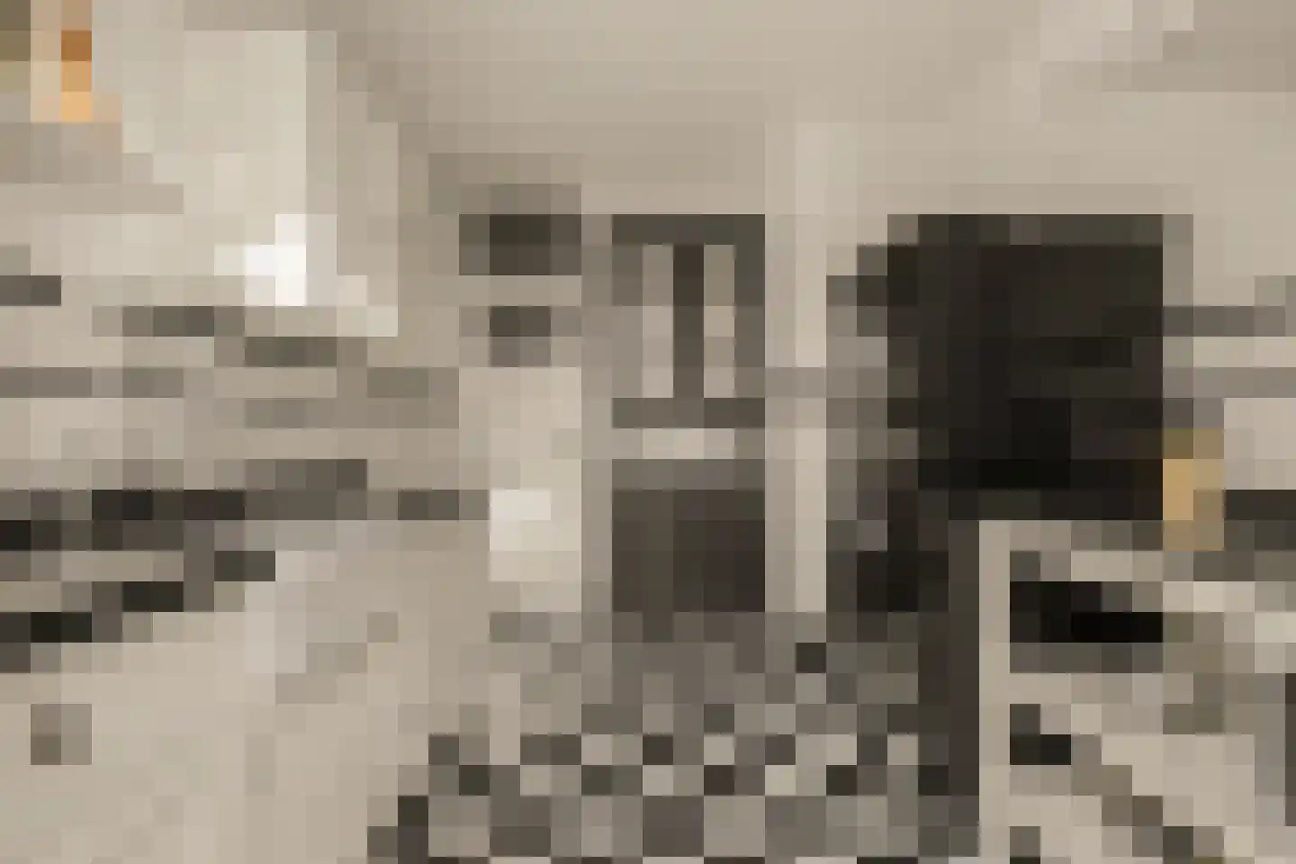 Stationsweg 2 Monster thumbnail 11