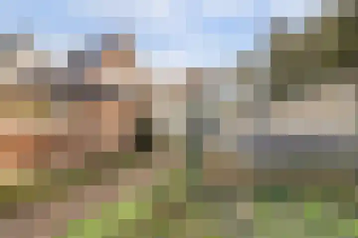 Stationsweg 2 Monster thumbnail 30