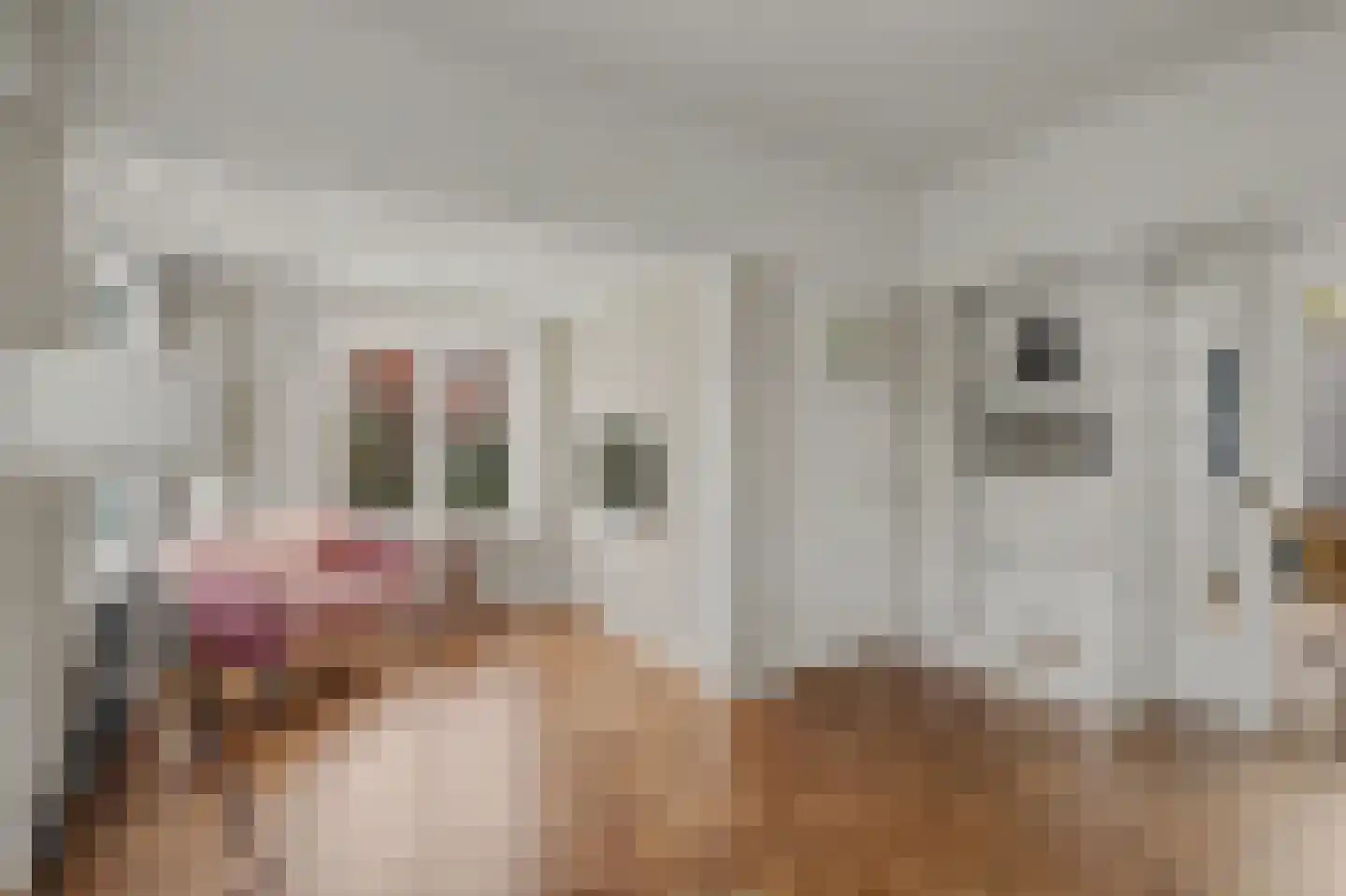 Stationsweg 2 Monster thumbnail 6