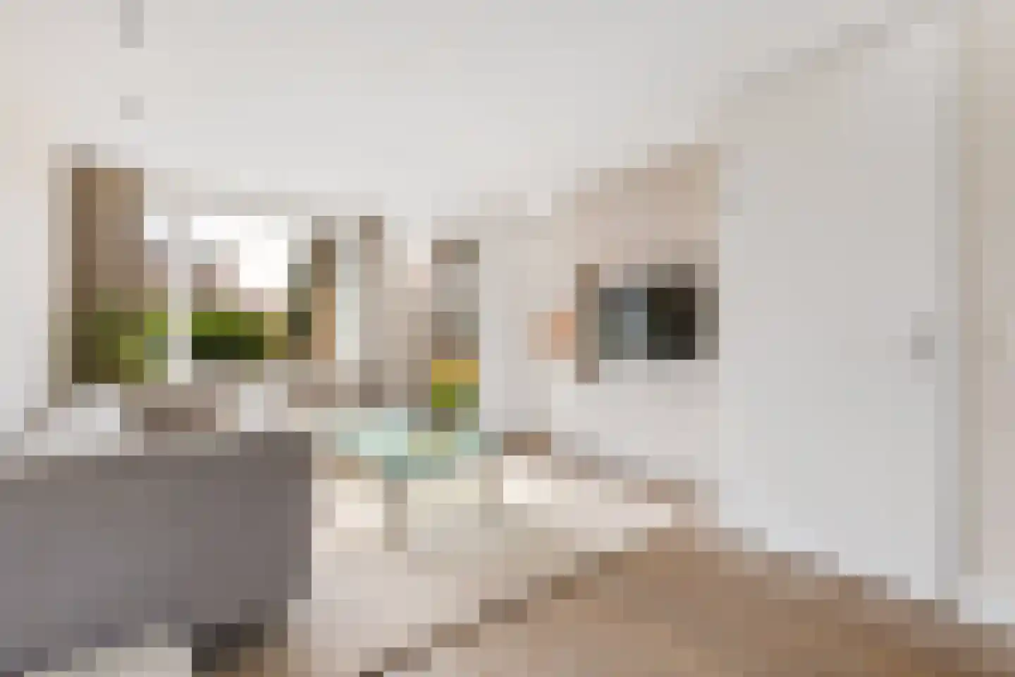 Stationsweg 20 b Bunnik thumbnail 10