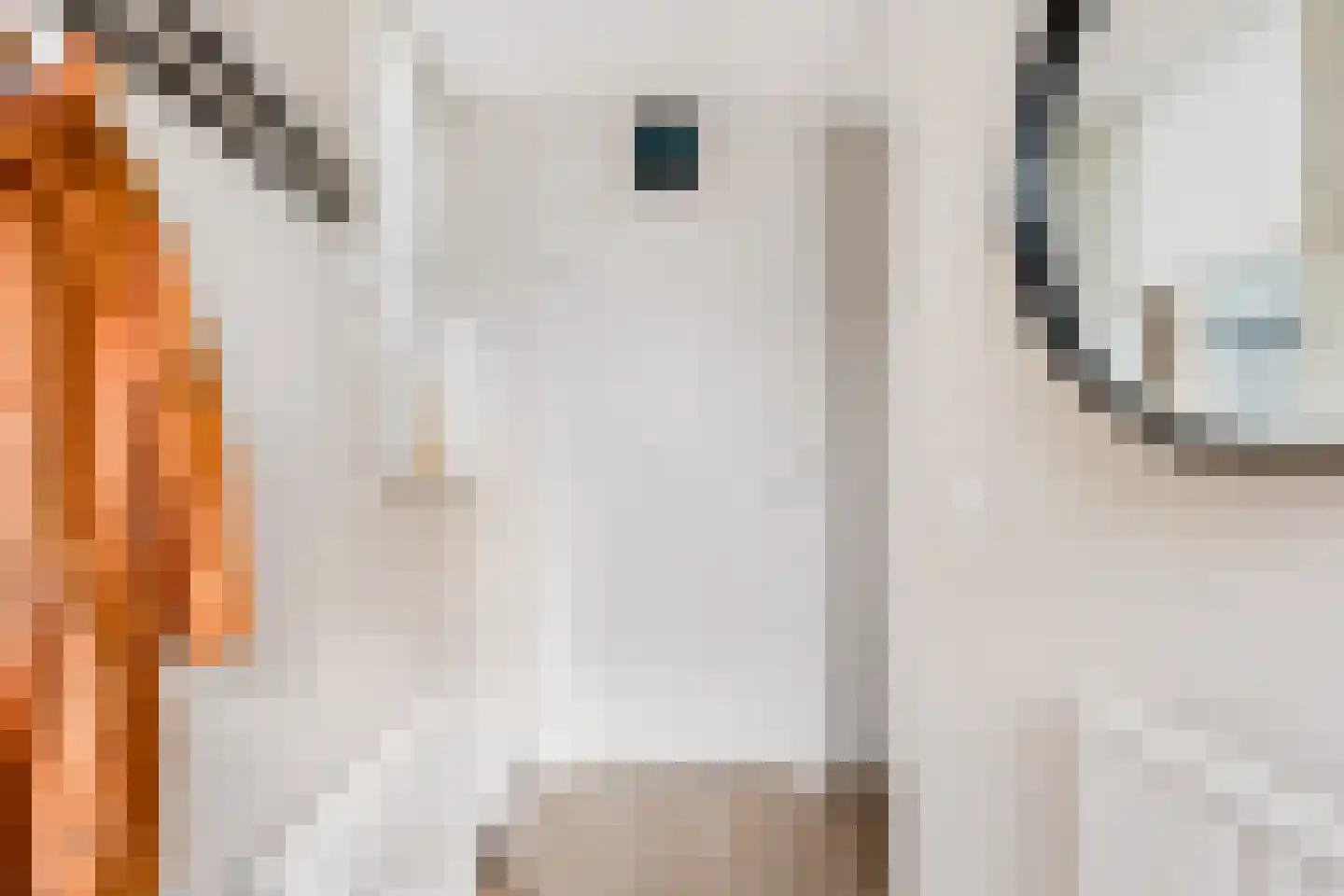 Stationsweg 20 b Bunnik thumbnail 6