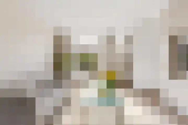 Stationsweg 20 b Bunnik thumbnail 8
