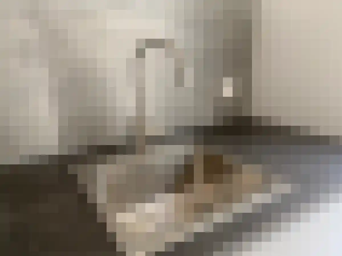 Stationsweg 20 Leeuwarden thumbnail 6