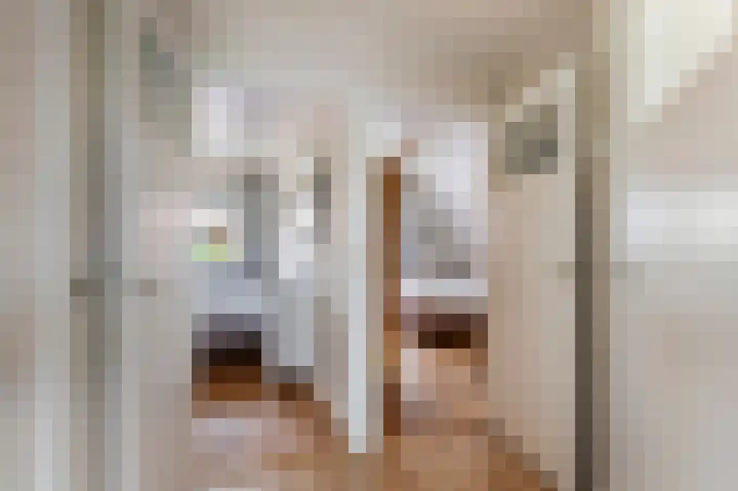 Stationsweg 20 Markelo thumbnail 22