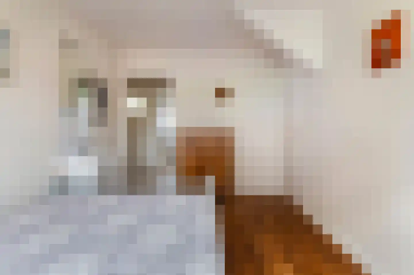 Stationsweg 20 Markelo thumbnail 29