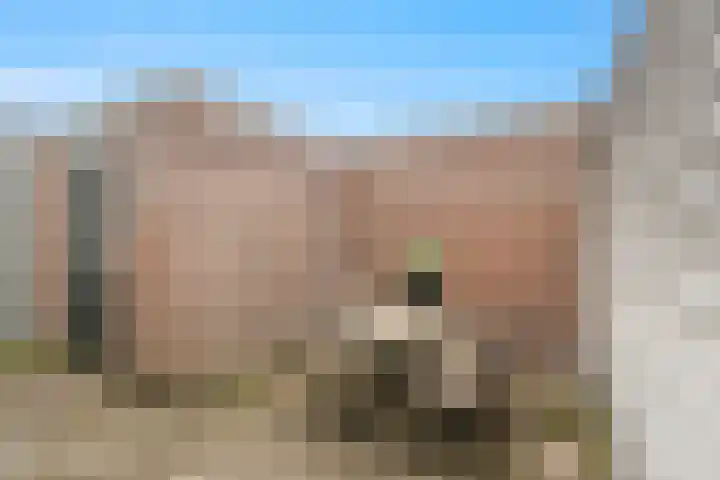 Stationsweg 21 Alkmaar thumbnail 33