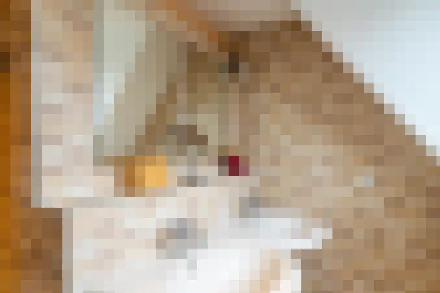 Stationsweg 22 Drimmelen thumbnail 24