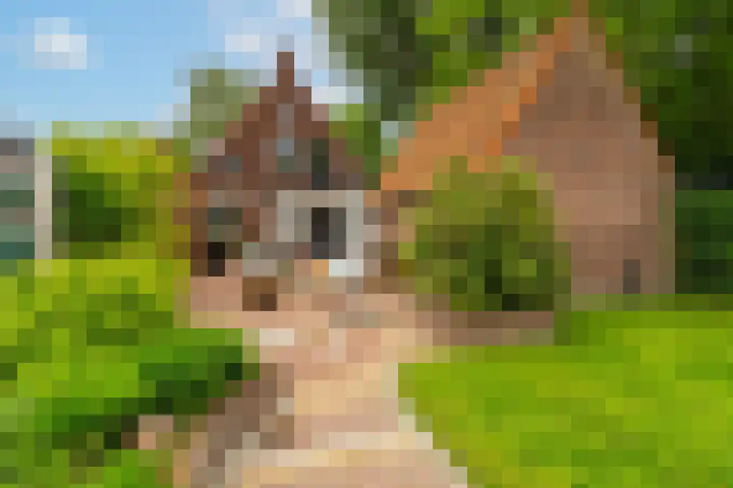 Stationsweg 22 Drimmelen thumbnail 39