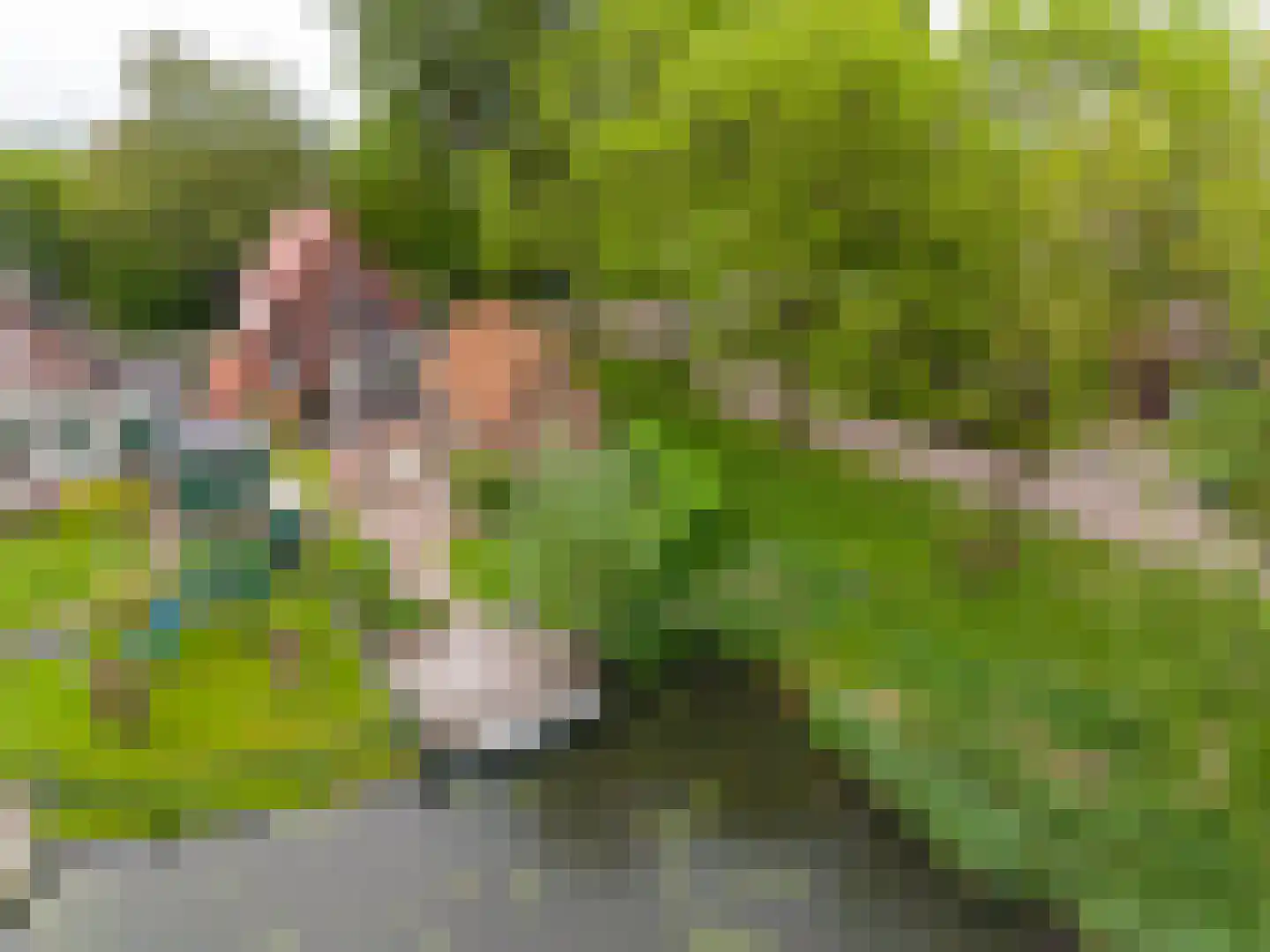 Stationsweg 22 Drimmelen thumbnail 47