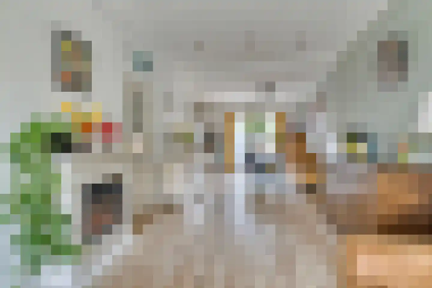 Stationsweg 22 Schagen thumbnail 12