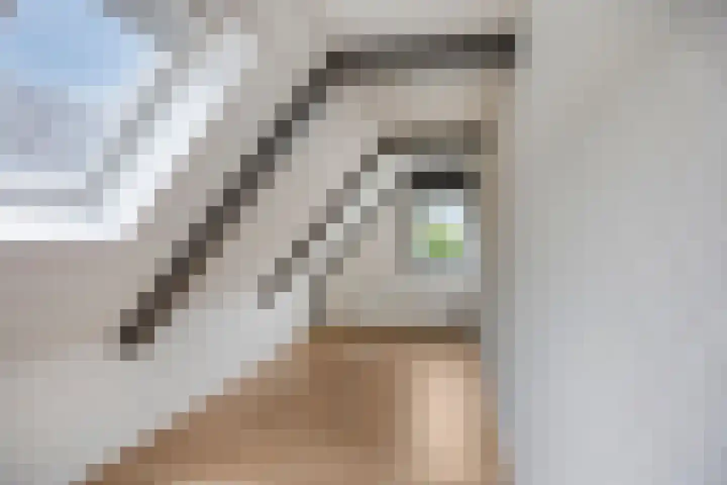 Stationsweg 22 Schagen thumbnail 33