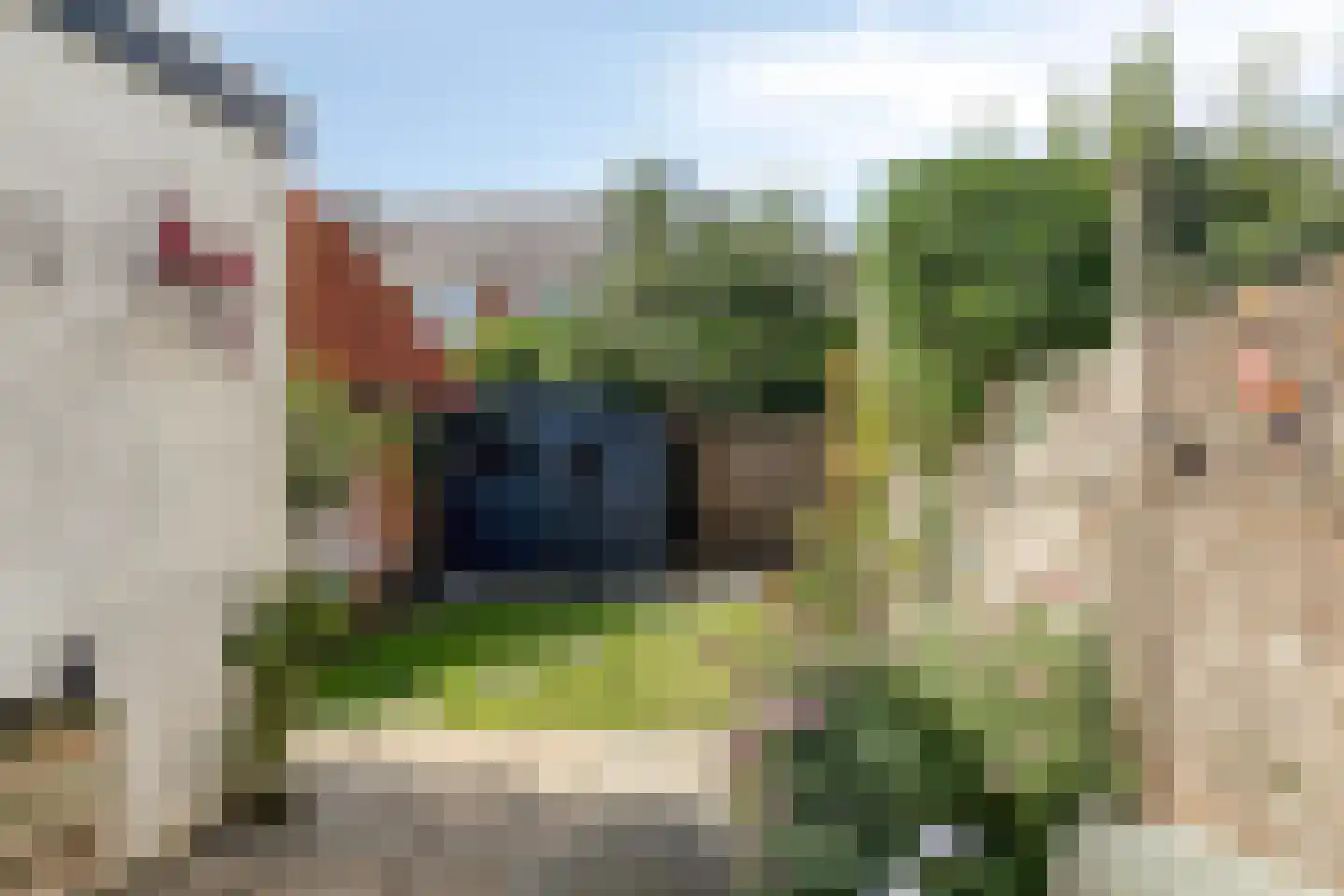 Stationsweg 22 Schagen thumbnail 36