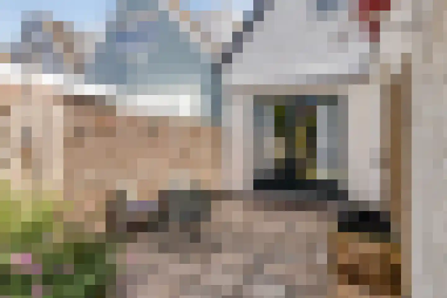 Stationsweg 22 Schagen thumbnail 37