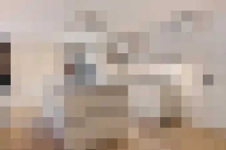 Stationsweg 22 Soest thumbnail 6