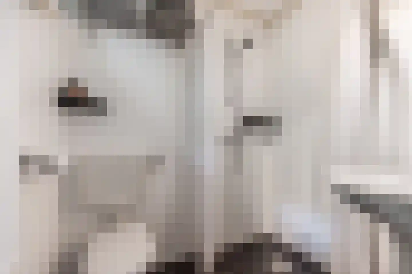 Stationsweg 22 Stavoren thumbnail 22