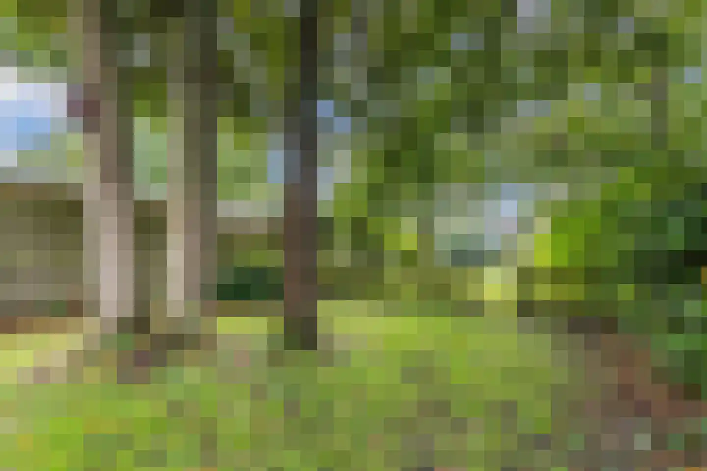 Stationsweg 22 Stavoren thumbnail 30