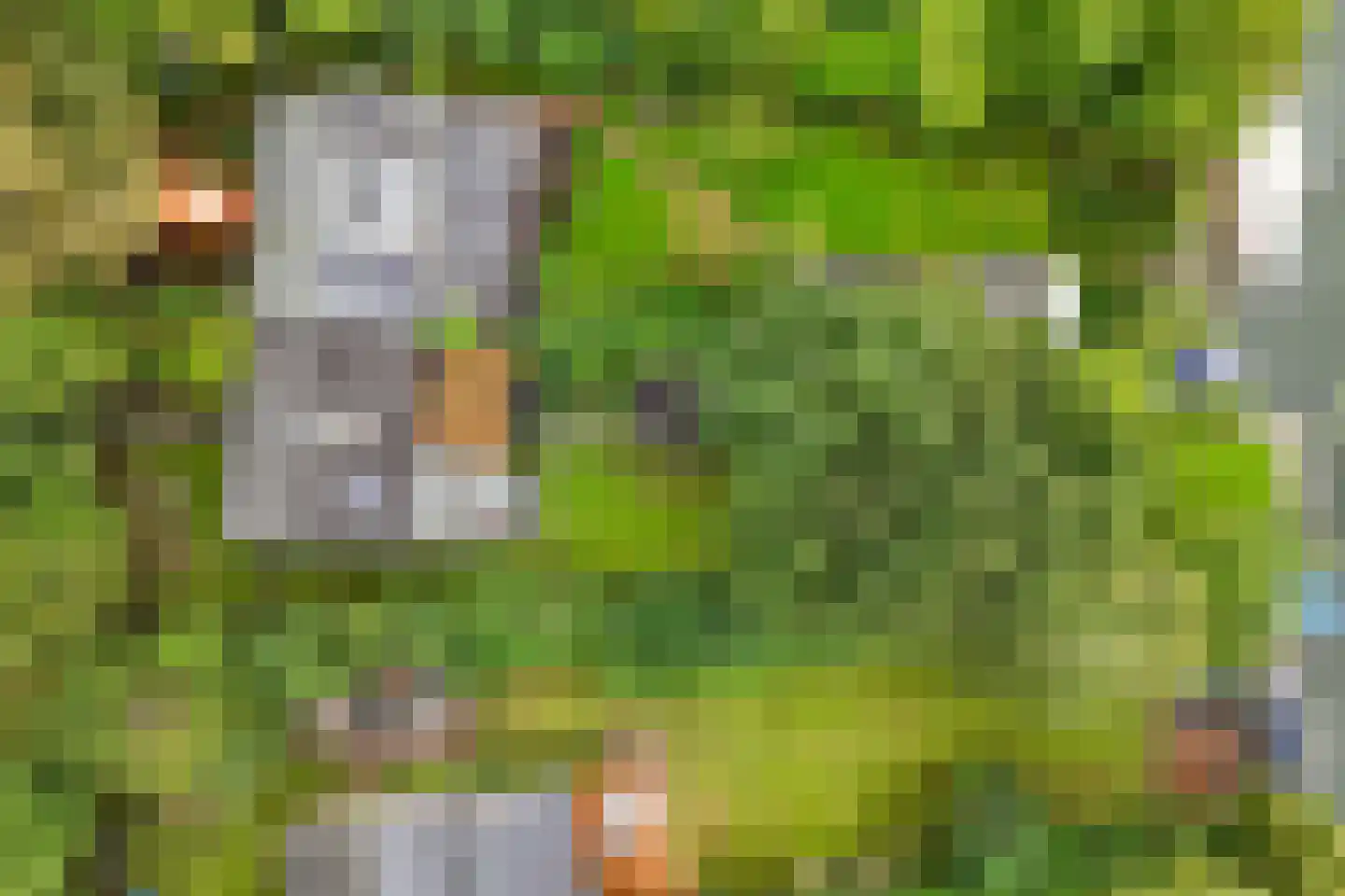 Stationsweg 22 Stavoren thumbnail 37
