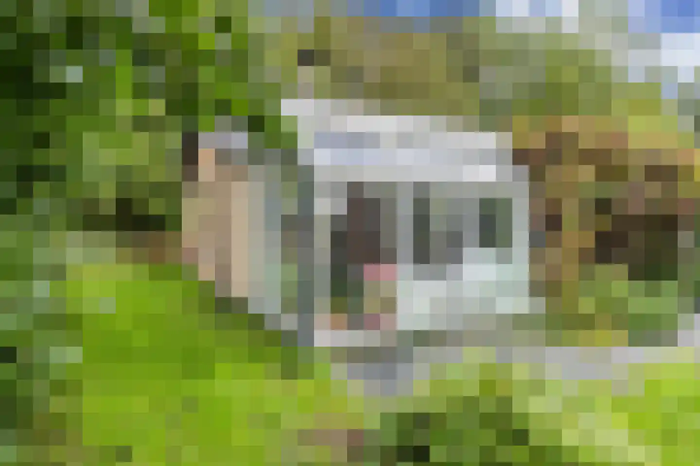 Stationsweg 22 Stavoren thumbnail 4