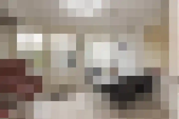 Stationsweg 23 Hillegom thumbnail 15