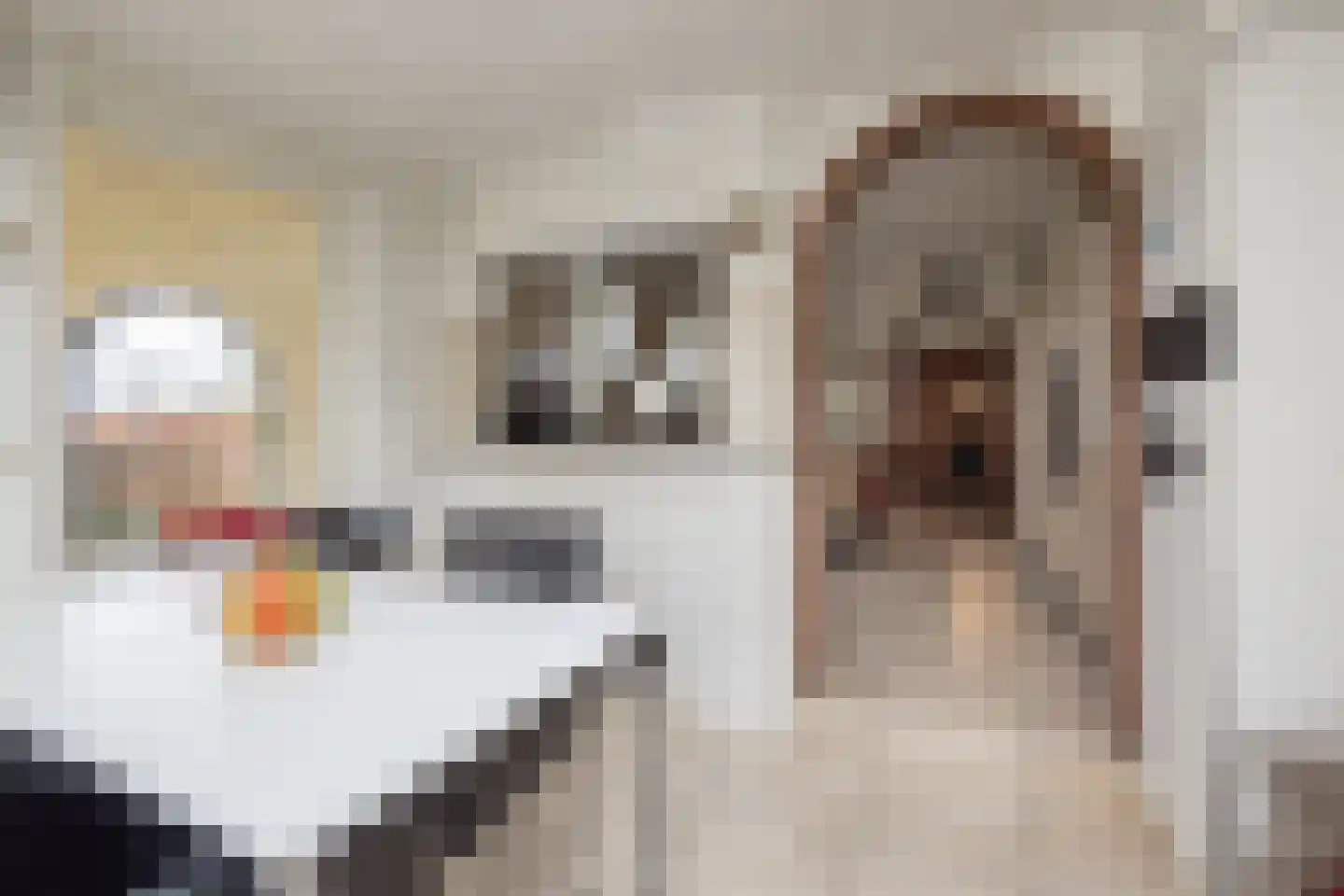 Stationsweg 23 Hillegom thumbnail 17