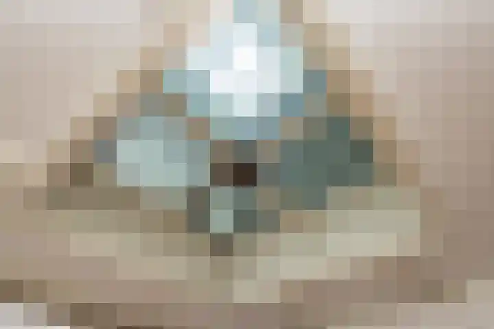 Stationsweg 23 Hillegom thumbnail 18