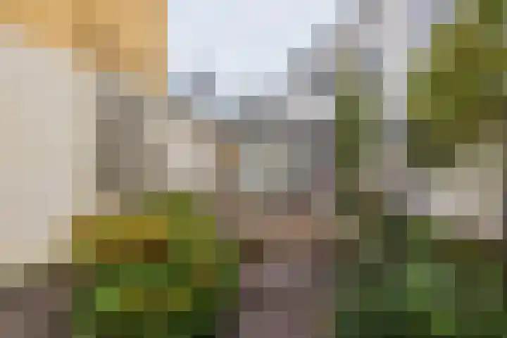 Stationsweg 23 Hillegom thumbnail 21