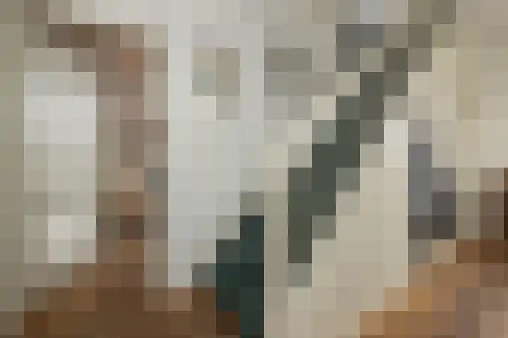 Stationsweg 23 Hillegom thumbnail 33