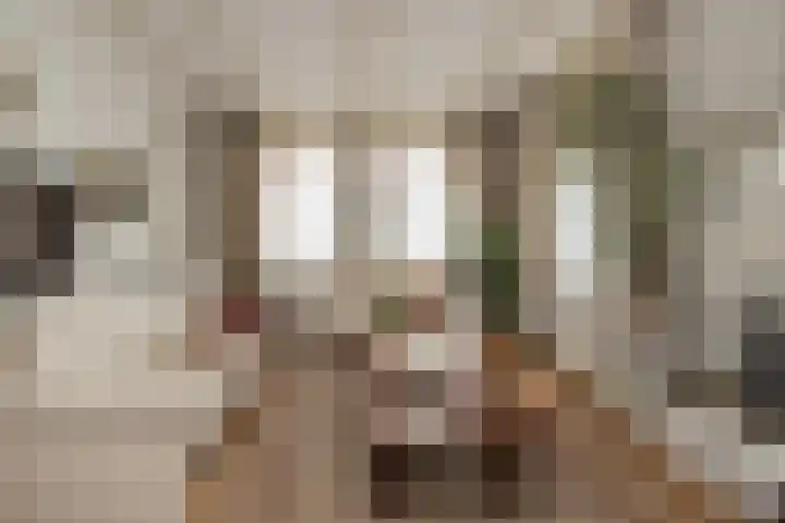 Stationsweg 23 Hillegom thumbnail 6