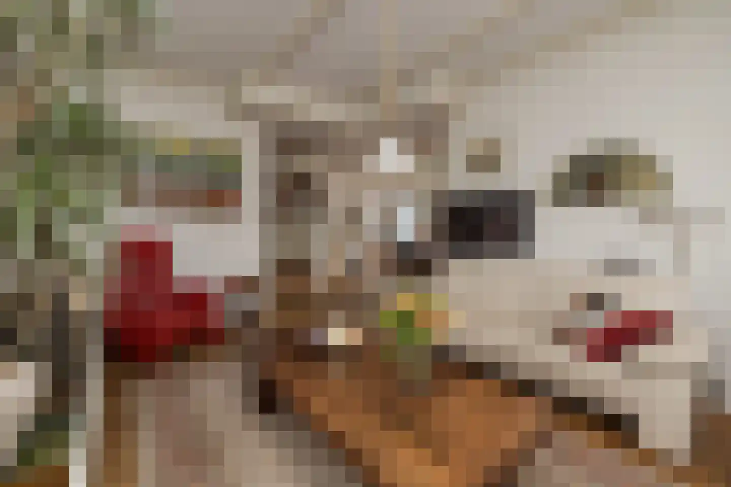 Stationsweg 23 Hillegom thumbnail 8