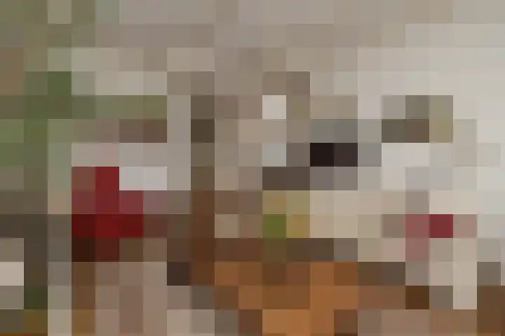 Stationsweg 23 Hillegom thumbnail 8