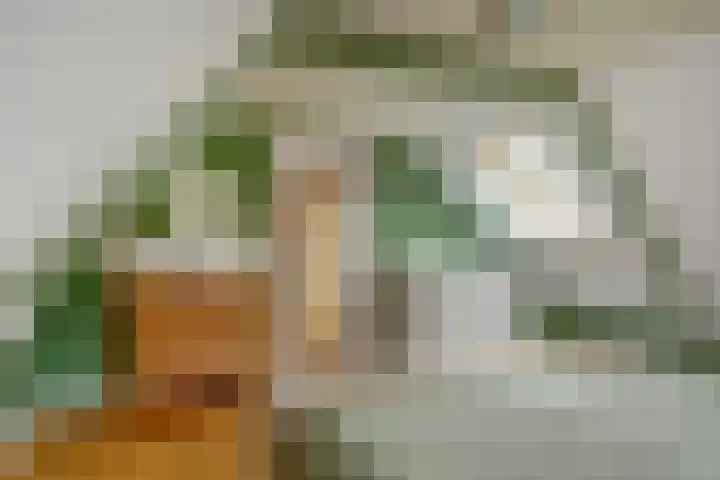Stationsweg 23 Schagen thumbnail 34