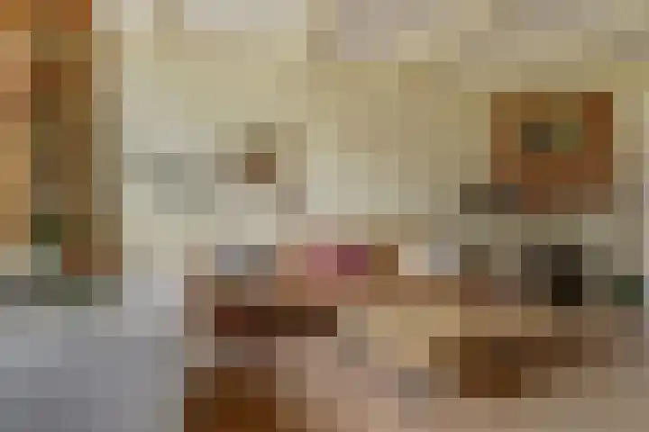 Stationsweg 23 Schagen thumbnail 6