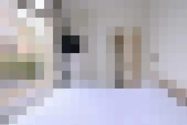 Stationsweg 24 Colmschate thumbnail 14
