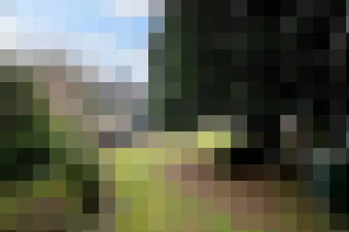 Stationsweg 24 Colmschate thumbnail 39