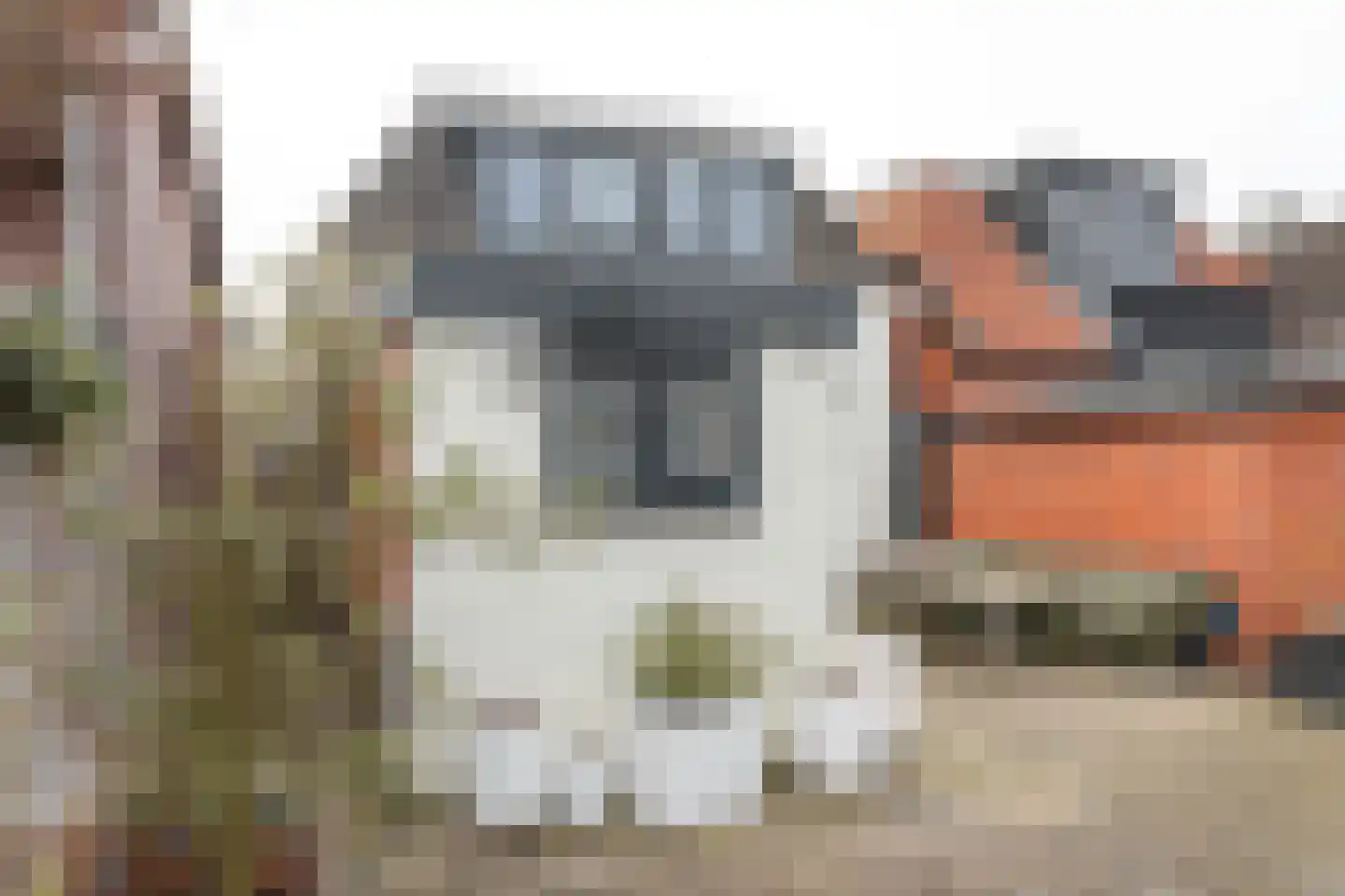 Stationsweg 247 Drachten thumbnail 15